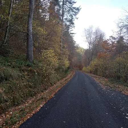 Gite En Pleine Campagne Saint-Haon Buitenkant foto